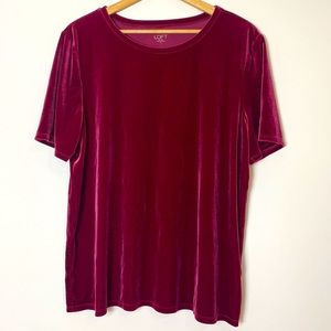LOFT burgundy velvet short sleeve top Size XL